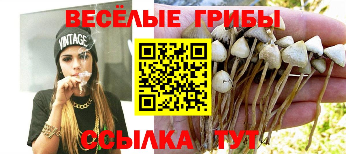 Гудермес  Псилоцибиновые грибы Magic Shrooms  Галлюциногенные грибы прущие грибы  Вход с VPN 