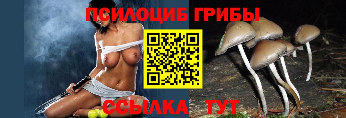 Псилоцибиновые грибы MAGIC MUSHROOMS Гудермес